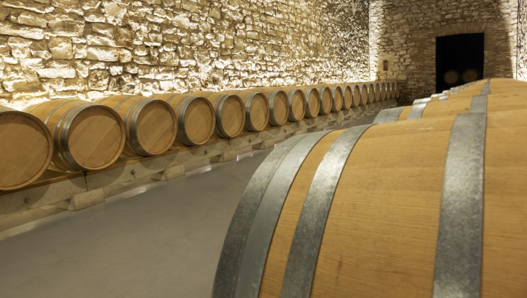 Wine Tasting in Konavle Vineyards